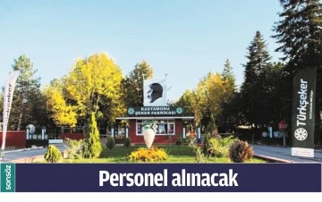 PERSONEL ALINACAK