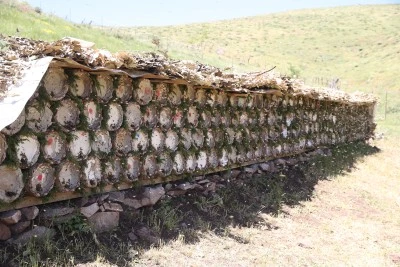 Pervari balının &uuml;retimi i&ccedil;in "tatlı mesai"