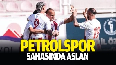 Petrolspor sahasında aslan 