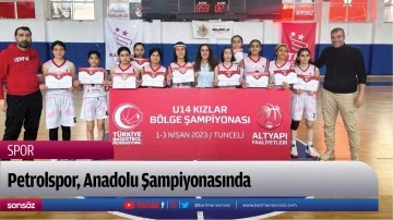 Petrolspor, Anadolu Şampiyonasında