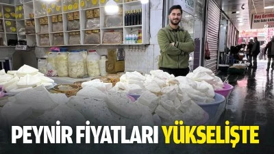 Peynir fiyatları y&uuml;kselişte