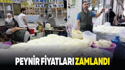 Peynir fiyatları zamlandı