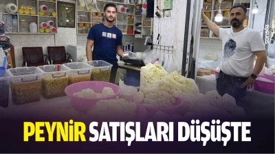 Peynir satışları d&uuml;ş&uuml;şte