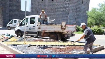 Peyzaj &ccedil;alışmalarına ağırlık veriyor