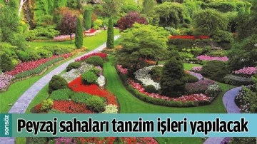 PEYZAJ SAHALARI TANZİM İŞLERİ YAPILACAK