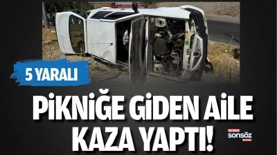 Pikniğe giden aile kaza yaptı: 5 Yaralı