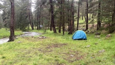 Piknik yaptıkları alana yıldırım d&uuml;şt&uuml;: 1'i ağır 3 yaralı