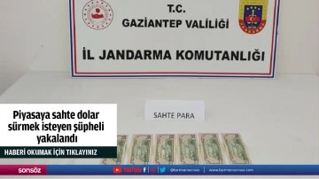 Piyasaya sahte dolar s&uuml;rmek isteyen ş&uuml;pheli yakalandı