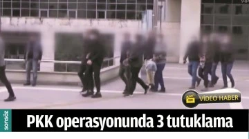 PKK OPERASYONUNDA 3 TUTUKLAMA