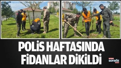 Polis Haftasında fidanlar dikildi