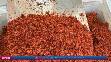 Pul biber ihracatı yılın ilk &ccedil;eyreğinde y&uuml;zde 24 arttı