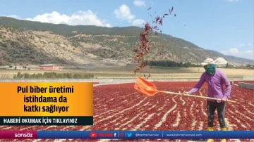 Pul biber &uuml;retimi istihdama da katkı sağlıyor