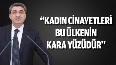 "Kadın cinayetleri bu &uuml;lkenin kara y&uuml;z&uuml;d&uuml;r"