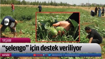 "şelengo" i&ccedil;in destek veriliyor