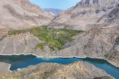 "Ya tutarsa" diye dikilen narenciye ağa&ccedil;ları meyve verdi