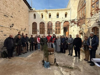 "Yaşayan &Ccedil;ınarlar" projesi