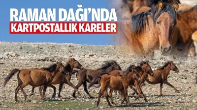 Raman Dağı&rsquo;nda kartpostallık kareler