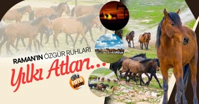 Raman&rsquo;ın &ouml;zg&uuml;r ruhları; yılkı atları&hellip;