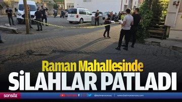 Raman Mahallesinde silahlar patladı