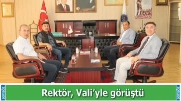 Rekt&ouml;r, Vali&rsquo;yle g&ouml;r&uuml;şt&uuml;