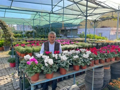 Renk c&uuml;mb&uuml;ş&uuml; tezgahları s&uuml;sledi