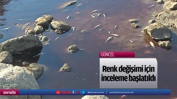 Renk değişimi i&ccedil;in inceleme başlatıldı