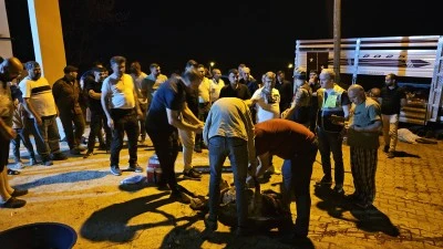 R&ouml;gardan sızan sudan zehirlendiği ileri s&uuml;r&uuml;len 32 k&uuml;&ccedil;&uuml;kbaş hayvan telef oldu
