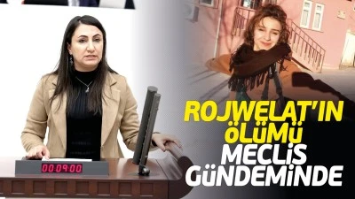Rojwelat&rsquo;ın &ouml;l&uuml;m&uuml; meclis g&uuml;ndeminde