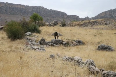 Roma d&ouml;nemine ait yerleşim alanı bulundu