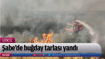 Şabe&rsquo;de buğday tarlası yandı