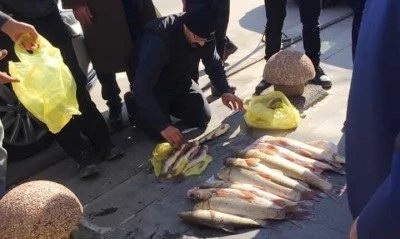 Şabot g&ouml;r&uuml;c&uuml;ye &ccedil;ıktı