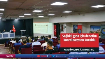 Sağlıklı gıda i&ccedil;in denetim koordinasyonu kuruldu