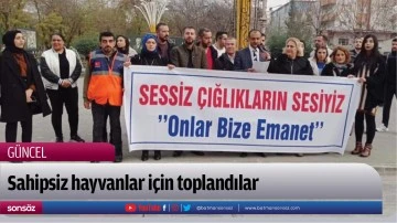 Sahipsiz hayvanlar i&ccedil;in toplandılar