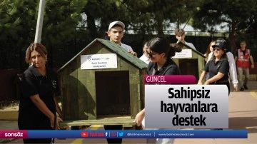 Sahipsiz hayvanlara destek