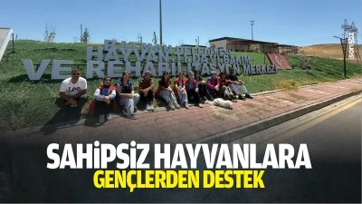 Sahipsiz hayvanlara gen&ccedil;lerden destek
