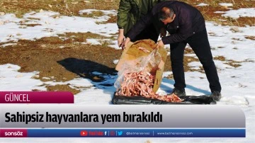 Sahipsiz hayvanlara yem bırakıldı