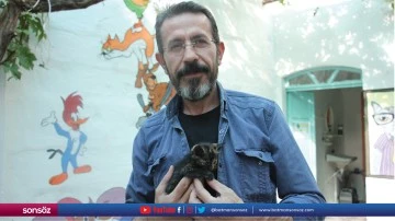 Sahipsiz kediler i&ccedil;in dernek kurdu