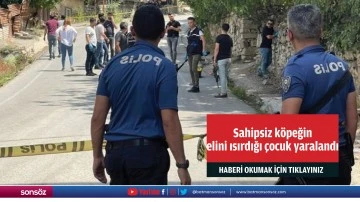 Sahipsiz k&ouml;peğin elini ısırdığı &ccedil;ocuk yaralandı