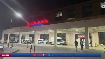 Sahipsiz k&ouml;pekler dehşet sa&ccedil;tı