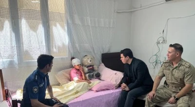 Sahipsiz k&ouml;peklerin saldırısına uğrayan 8 yaşındaki &ccedil;ocuk yaralandı