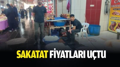 Sakatat fiyatları u&ccedil;tu