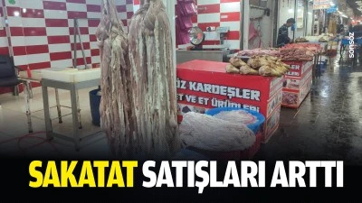 Sakatat satışları arttı
