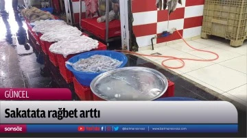 Sakatata rağbet arttı