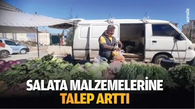 Salata malzemelerine talep arttı