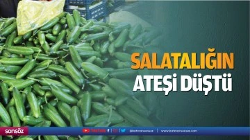 Salatalığın ateşi d&uuml;şt&uuml;