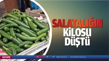 Salatalığın kilosu d&uuml;şt&uuml;