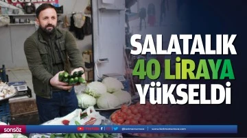 Salatalık 40 liraya yükseldi