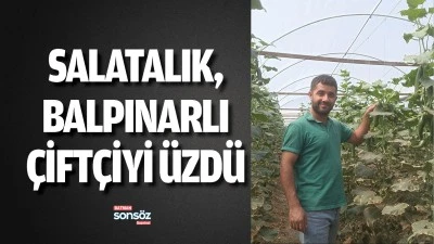 Salatalık, Balpınarlı &Ccedil;ift&ccedil;iyi &uuml;zd&uuml;
