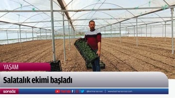 Salatalık ekimi başladı