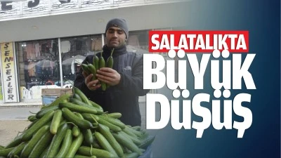 Salatalıkta b&uuml;y&uuml;k d&uuml;ş&uuml;ş